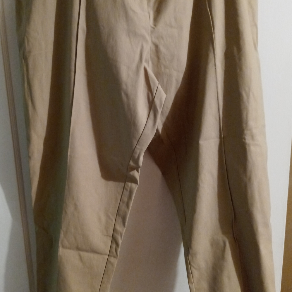 NEW Ashley Stewart Ankle Pants